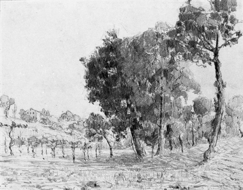 1919 - Quercie a Orvieto
